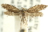  ( - CCDB-19582-B08)  @11 [ ] CreativeCommons - Attribution (2012) CBG Photography Group Centre for Biodiversity Genomics