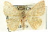  ( - CCDB-19582-D03)  @13 [ ] CreativeCommons - Attribution (2012) CBG Photography Group Centre for Biodiversity Genomics