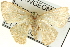  ( - CCDB-19582-D05)  @12 [ ] CreativeCommons - Attribution (2012) CBG Photography Group Centre for Biodiversity Genomics