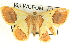  ( - CCDB-19582-D12)  @14 [ ] CreativeCommons - Attribution (2012) CBG Photography Group Centre for Biodiversity Genomics