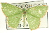  ( - CCDB-19582-E10)  @14 [ ] CreativeCommons - Attribution (2012) CBG Photography Group Centre for Biodiversity Genomics