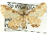  ( - CCDB-19582-G04)  @14 [ ] CreativeCommons - Attribution (2012) CBG Photography Group Centre for Biodiversity Genomics
