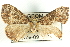  ( - CCDB-19582-H03)  @12 [ ] CreativeCommons - Attribution (2012) CBG Photography Group Centre for Biodiversity Genomics