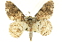  ( - CCDB-19583-B05)  @14 [ ] CreativeCommons - Attribution (2012) CBG Photography Group Centre for Biodiversity Genomics