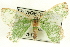  ( - CCDB-19583-D09)  @13 [ ] CreativeCommons - Attribution (2012) CBG Photography Group Centre for Biodiversity Genomics