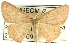  ( - CCDB-19585-A01)  @15 [ ] CreativeCommons - Attribution (2012) CBG Photography Group Centre for Biodiversity Genomics