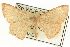  ( - CCDB-19585-A02)  @14 [ ] CreativeCommons - Attribution (2012) CBG Photography Group Centre for Biodiversity Genomics