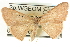  ( - CCDB-19585-A04)  @13 [ ] CreativeCommons - Attribution (2012) CBG Photography Group Centre for Biodiversity Genomics