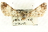  ( - CCDB-19585-A12)  @13 [ ] CreativeCommons - Attribution (2012) CBG Photography Group Centre for Biodiversity Genomics