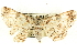  ( - CCDB-19585-B02)  @13 [ ] CreativeCommons - Attribution (2012) CBG Photography Group Centre for Biodiversity Genomics