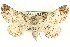  ( - CCDB-19585-B03)  @14 [ ] CreativeCommons - Attribution (2012) CBG Photography Group Centre for Biodiversity Genomics