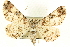  ( - CCDB-19585-B05)  @15 [ ] CreativeCommons - Attribution (2012) CBG Photography Group Centre for Biodiversity Genomics