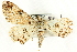  ( - CCDB-19585-C03)  @14 [ ] CreativeCommons - Attribution (2012) CBG Photography Group Centre for Biodiversity Genomics