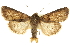  ( - CCDB-20285-C07)  @14 [ ] CreativeCommons - Attribution (2013) CBG Photography Group Centre for Biodiversity Genomics
