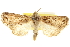  ( - CCDB-20285-E08)  @11 [ ] CreativeCommons - Attribution (2013) CBG Photography Group Centre for Biodiversity Genomics