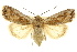  ( - CCDB-20285-G04)  @11 [ ] CreativeCommons - Attribution (2013) CBG Photography Group Centre for Biodiversity Genomics