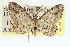  ( - CCDB-20802-B10)  @11 [ ] CreativeCommons - Attribution (2013) CBG Photography Group Centre for Biodiversity Genomics