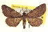  ( - CCDB-20802-H06)  @11 [ ] CreativeCommons - Attribution (2013) CBG Photography Group Centre for Biodiversity Genomics