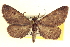  ( - CCDB-20802-H07)  @11 [ ] CreativeCommons - Attribution (2013) CBG Photography Group Centre for Biodiversity Genomics