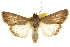  ( - CCDB-20803-B05)  @11 [ ] CreativeCommons - Attribution (2013) CBG Photography Group Centre for Biodiversity Genomics
