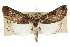  ( - CCDB-20803-C08)  @14 [ ] CreativeCommons - Attribution (2013) CBG Photography Group Centre for Biodiversity Genomics