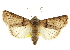  ( - CCDB-20803-E05)  @11 [ ] CreativeCommons - Attribution (2013) CBG Photography Group Centre for Biodiversity Genomics