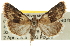  ( - CCDB-20803-H07)  @13 [ ] CreativeCommons - Attribution (2013) CBG Photography Group Centre for Biodiversity Genomics
