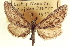  ( - CCDB-20804-C11)  @11 [ ] CreativeCommons - Attribution (2013) CBG Photography Group Centre for Biodiversity Genomics