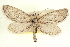  ( - CCDB-20804-C12)  @11 [ ] CreativeCommons - Attribution (2013) CBG Photography Group Centre for Biodiversity Genomics