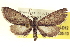  ( - CCDB-20804-D12)  @11 [ ] CreativeCommons - Attribution (2013) CBG Photography Group Centre for Biodiversity Genomics