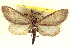  ( - CCDB-20804-E03)  @11 [ ] CreativeCommons - Attribution (2013) CBG Photography Group Centre for Biodiversity Genomics