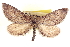  ( - CCDB-20804-E06)  @14 [ ] CreativeCommons - Attribution (2013) CBG Photography Group Centre for Biodiversity Genomics