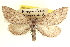  ( - CCDB-20804-E08)  @14 [ ] CreativeCommons - Attribution (2013) CBG Photography Group Centre for Biodiversity Genomics