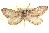  ( - CCDB-20804-E09)  @14 [ ] CreativeCommons - Attribution (2013) CBG Photography Group Centre for Biodiversity Genomics