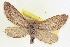  ( - CCDB-20804-F11)  @11 [ ] CreativeCommons - Attribution (2013) CBG Photography Group Centre for Biodiversity Genomics