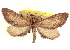  ( - CCDB-20804-G04)  @11 [ ] CreativeCommons - Attribution (2013) CBG Photography Group Centre for Biodiversity Genomics