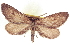  ( - CCDB-20804-G05)  @11 [ ] CreativeCommons - Attribution (2013) CBG Photography Group Centre for Biodiversity Genomics