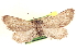  ( - CCDB-20804-H04)  @11 [ ] CreativeCommons - Attribution (2013) CBG Photography Group Centre for Biodiversity Genomics