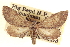  ( - CCDB-20804-H07)  @11 [ ] CreativeCommons - Attribution (2013) CBG Photography Group Centre for Biodiversity Genomics