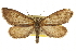 ( - CCDB-20805-A08)  @11 [ ] CreativeCommons - Attribution (2013) CBG Photography Group Centre for Biodiversity Genomics