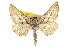  ( - CCDB-20805-H06)  @14 [ ] CreativeCommons - Attribution (2013) CBG Photography Group Centre for Biodiversity Genomics