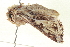  ( - CCDB-20806-B07)  @13 [ ] CreativeCommons - Attribution (2013) CBG Photography Group Centre for Biodiversity Genomics