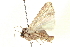  ( - CCDB-20806-B10)  @12 [ ] CreativeCommons - Attribution (2013) CBG Photography Group Centre for Biodiversity Genomics