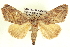  ( - CCDB-20806-D03)  @14 [ ] CreativeCommons - Attribution (2013) CBG Photography Group Centre for Biodiversity Genomics