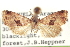  ( - CCDB-20806-F10)  @11 [ ] CreativeCommons - Attribution (2013) CBG Photography Group Centre for Biodiversity Genomics