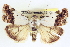  ( - CCDB-20806-H04)  @13 [ ] CreativeCommons - Attribution (2013) CBG Photography Group Centre for Biodiversity Genomics