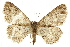  ( - CCDB-20807-E11)  @14 [ ] CreativeCommons - Attribution (2013) CBG Photography Group Centre for Biodiversity Genomics