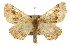  ( - CCDB-20811-A04)  @14 [ ] CreativeCommons - Attribution (2013) CBG Photography Group Centre for Biodiversity Genomics