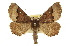  ( - CCDB-20811-A05)  @15 [ ] CreativeCommons - Attribution (2013) CBG Photography Group Centre for Biodiversity Genomics