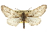  ( - CCDB-20811-E01)  @14 [ ] CreativeCommons - Attribution (2013) CBG Photography Group Centre for Biodiversity Genomics